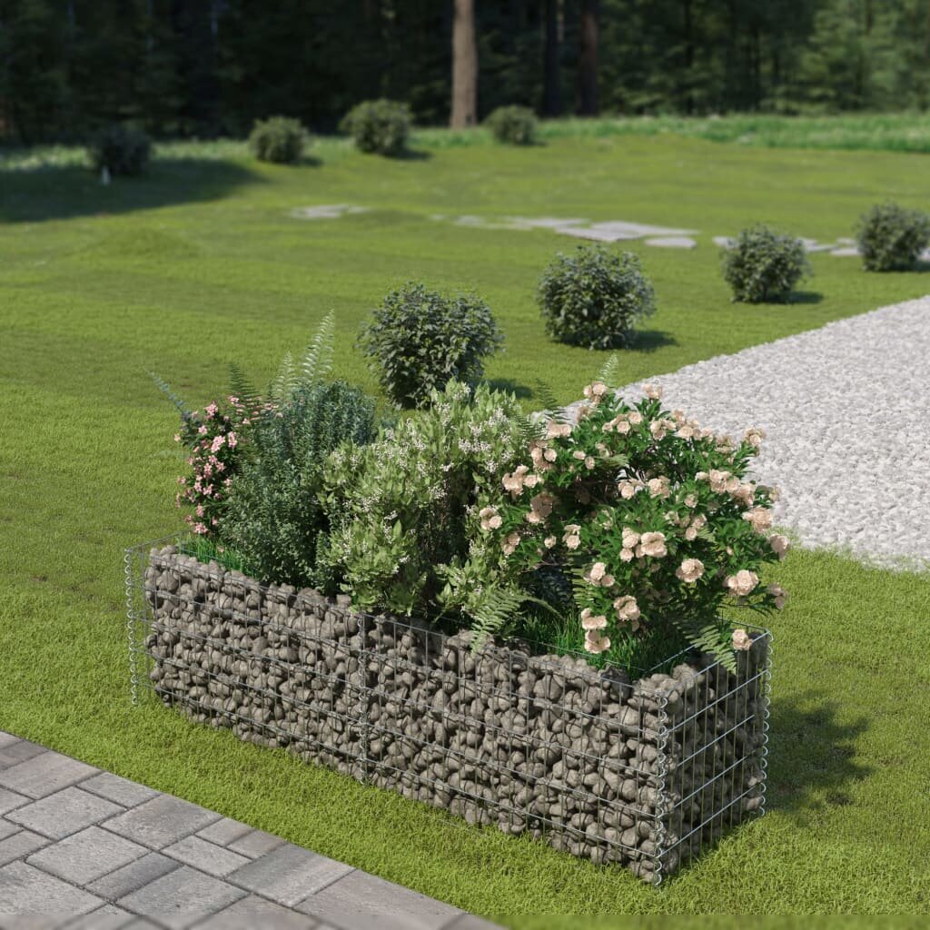 vidaXL gabioon-taimelava, tsingitud teras, 180 x 50 x 50 cm hind ja info | Dekoratiivsed lillepotid | kaup24.ee
