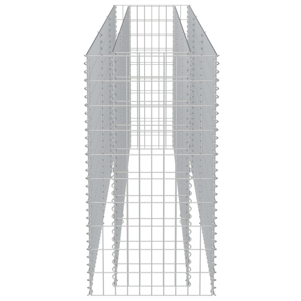 vidaXL gabioon-taimelava, tsingitud teras, 270 x 50 x 100 cm hind ja info | Dekoratiivsed lillepotid | kaup24.ee