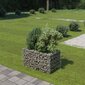 vidaXL gabioon-taimelava, tsingitud teras, 90 x 50 x 50 cm цена и информация | Dekoratiivsed lillepotid | kaup24.ee