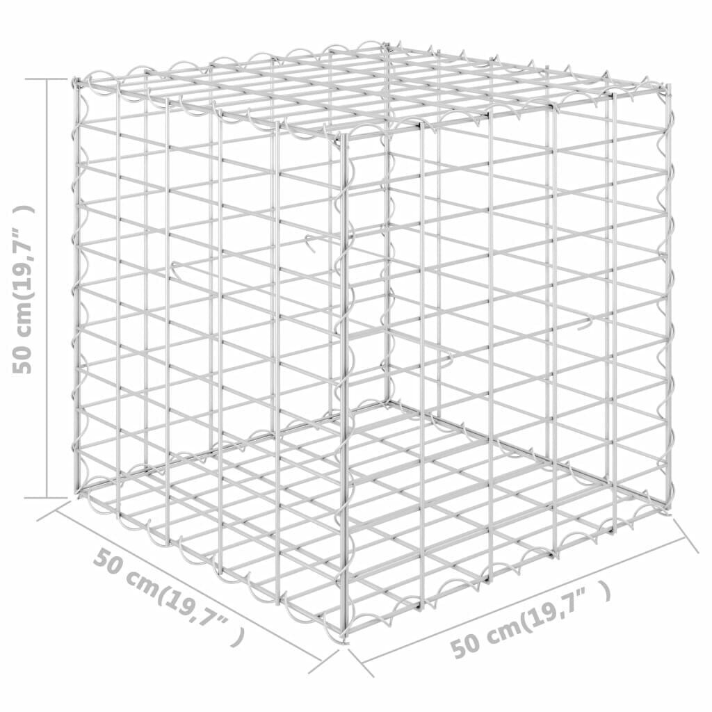 vidaXL kuubikukujuline gabioon-taimelava, teras 50 x 50 x 50 cm hind ja info | Dekoratiivsed lillepotid | kaup24.ee