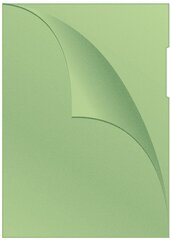 Папка-конверт 120мик А4, зеленая, 100 шт. цена и информация | Канцелярские товары | kaup24.ee