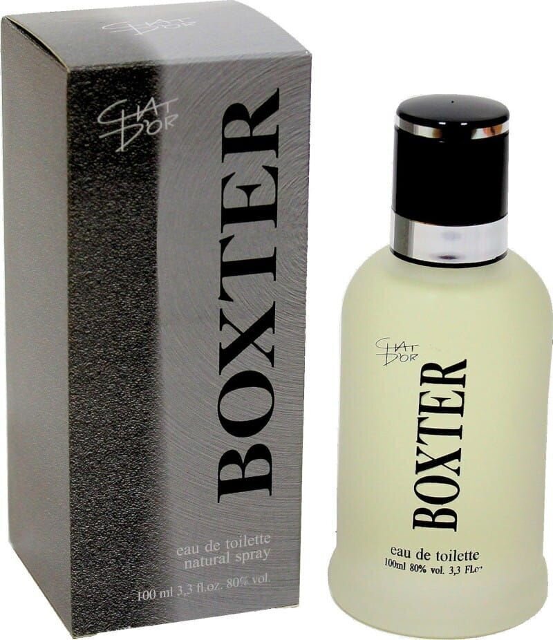 Tualettvesi Chat D'or Boxter EDT meestele, 100 ml hind ja info | Meeste parfüümid | kaup24.ee