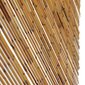 vidaXL uksekardin, bambus 100 x 200 cm hind ja info | Sääsevõrgud, putukavõrgud | kaup24.ee