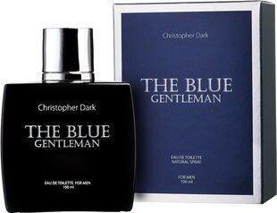 Tualettvesi Christopher Dark Blue Gentelmen EDT meestele, 100 ml цена и информация | Мужские духи | kaup24.ee