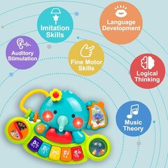 Muusikaline elevant lapsele hind ja info | Imikute mänguasjad | kaup24.ee