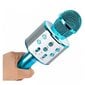 Karaoke mikrofon hääle muutmise efektidega hind ja info | Arendavad mänguasjad | kaup24.ee