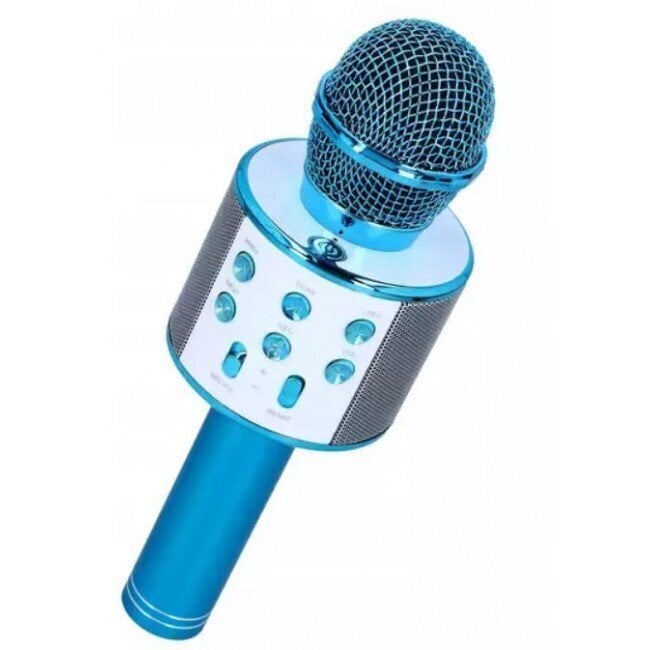 Karaoke mikrofon hääle muutmise efektidega цена и информация | Arendavad mänguasjad | kaup24.ee