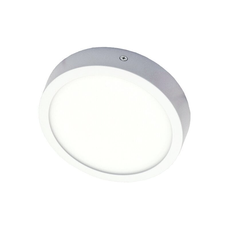 Pindmine ümmargune LED-paneel Modena 16 W цена и информация | Laelambid | kaup24.ee