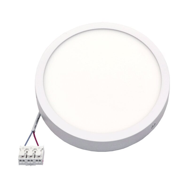 Pindmine ümmargune LED-paneel Modena 22 W hind ja info | Laelambid | kaup24.ee