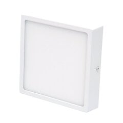 Pindmine neljakandiline LED-paneel Modena 16 W hind ja info | Laelambid | kaup24.ee