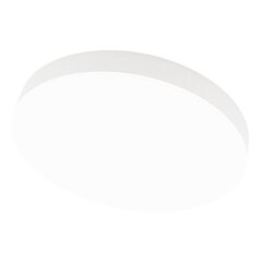Boston 2x36W потолочный белый светодиодный светильник цена и информация | Потолочные светильники | kaup24.ee