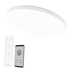 Ümmargune led-laevalgusti Boston 2 x 60 W, valge цена и информация | Потолочные светильники | kaup24.ee