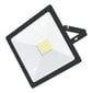 LED-väliprožektor Toledo 30 W hind ja info | Rippvalgustid | kaup24.ee