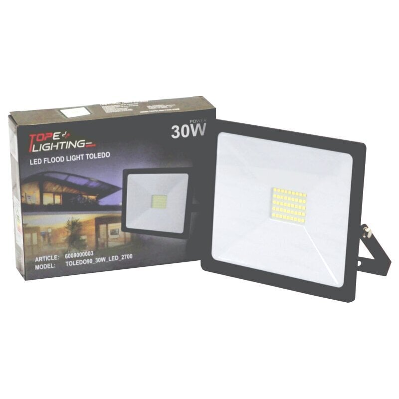 LED-väliprožektor Toledo 30 W цена и информация | Rippvalgustid | kaup24.ee
