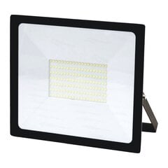 LED-väliprožektor Toledo 100 W цена и информация | Люстры | kaup24.ee