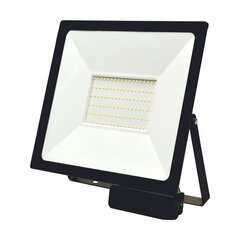 LED-väliprožektor liikumisanduriga Toledosens 100 W цена и информация | Люстры | kaup24.ee