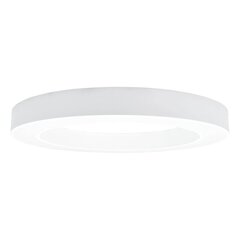 Ümmargune LED-valgusti Meka 48 W, valge цена и информация | Потолочные светильники | kaup24.ee