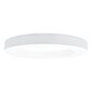 Ümmargune LED-valgusti Meka 48 W, valge цена и информация | Laelambid | kaup24.ee