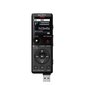 Sony Digital Voice Recorder ICD-UX570 LCD цена и информация | Diktofonid | kaup24.ee