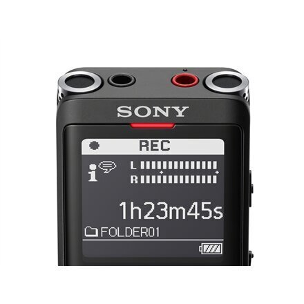 Sony Digital Voice Recorder ICD-UX570 LCD цена и информация | Diktofonid | kaup24.ee