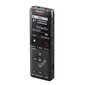 Sony Digital Voice Recorder ICD-UX570 LCD цена и информация | Diktofonid | kaup24.ee