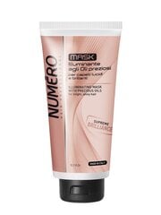 Juuksemask Brelil Numero Illuminating With Precious Oils, 300 ml цена и информация | Маски, масла, сыворотки | kaup24.ee