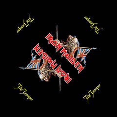Платок - бандана Iron Maiden цена и информация | Мужские шарфы, шапки, перчатки | kaup24.ee