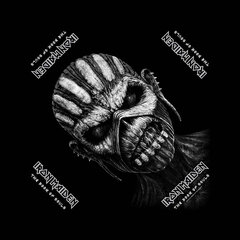 Pearätik Bandana Iron Maiden hind ja info | Meeste sallid, mütsid ja kindad | kaup24.ee