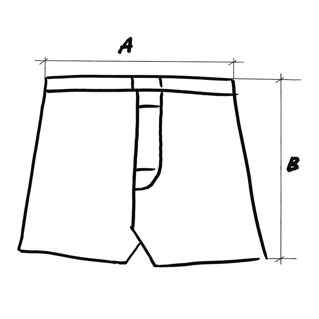 Meeste hallid melanž aluspüksid (šortsid) Nordic. Klassikaline stiil. Kanga kaal on 140-150 g/m2. hind ja info | Meeste aluspesu | kaup24.ee
