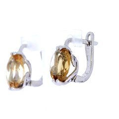 Vääriskividega kuldsed kõrvarõngad hind ja info | Kõrvarõngad | kaup24.ee