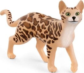 Фигурка кошки бенгальской породы Schleich цена и информация | Развивающий мелкую моторику - кинетический песок KeyCraft NV215 (80 г) детям от 3+ лет, бежевый | kaup24.ee