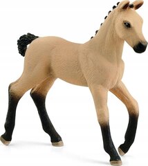 Фигурка жеребенка ганноверской породы Schleich цена и информация | Развивающий мелкую моторику - кинетический песок KeyCraft NV215 (80 г) детям от 3+ лет, бежевый | kaup24.ee