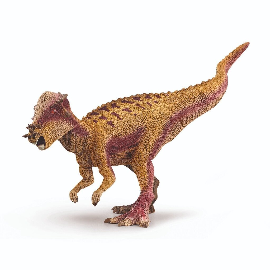 Pachycefalosauruse kujuke Schleich цена и информация | Poiste mänguasjad | kaup24.ee