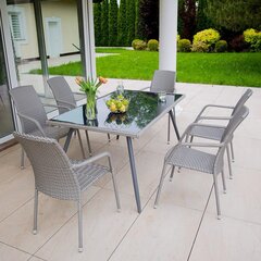 Laud Patio Lupus 150x90cm, hall цена и информация | Садовые столы и столики | kaup24.ee