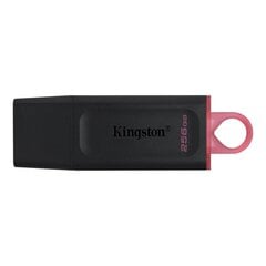 Kingston DTX/256GB hind ja info | Mälupulgad | kaup24.ee