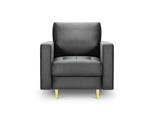 Кресло Milo Casa Santo, темно-серое/золотистого цвета цена и информация | Кресла в гостиную | kaup24.ee