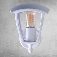 Светильник для сада Eko-Light Fox White цена и информация | Уличное освещение | kaup24.ee