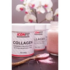 Iconfit Collagen superfoods + Inulin 250 g hind ja info | Vitamiinid, toidulisandid, preparaadid tervise heaoluks | kaup24.ee