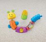 Mänguasi Röövik Fisher price, W9834 hind ja info | Imikute mänguasjad | kaup24.ee