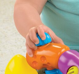 Mänguasi Röövik Fisher price, W9834 цена и информация | Игрушки для малышей | kaup24.ee