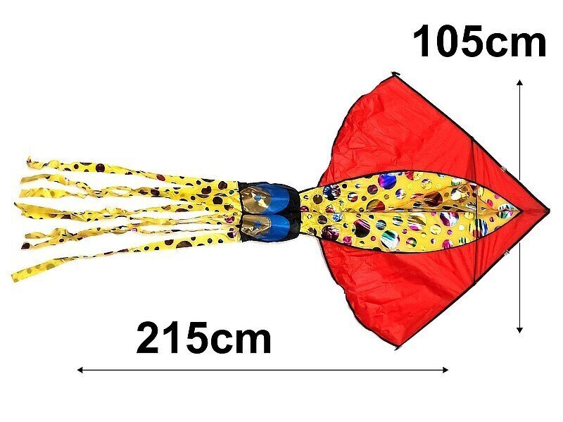 Tuulelohe, 105 x 215 cm 11408 hind ja info | Tuulelohed ja tarvikud | kaup24.ee