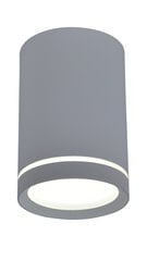 Candellux потолочный светильник Tuba цена и информация | Потолочные светильники | kaup24.ee
