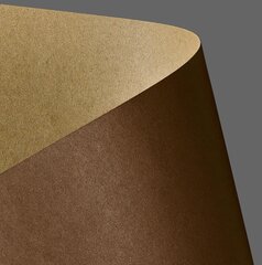 Kahepoolne tekstuuriga papp Kraft, pruun, 20 l. hind ja info | Vihikud, märkmikud ja paberikaubad | kaup24.ee