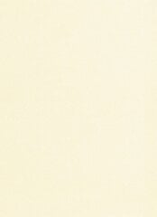 Paber Curious Metallic A4 120г White Gold 408160 hind ja info | Vihikud, märkmikud ja paberikaubad | kaup24.ee