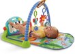 Muusikaline tegelusmatt Fisher Price, BMH49 hind ja info | Tegelustekid | kaup24.ee