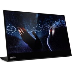 Lenovo 62A3UAT1WL, 14" цена и информация | Мониторы | kaup24.ee