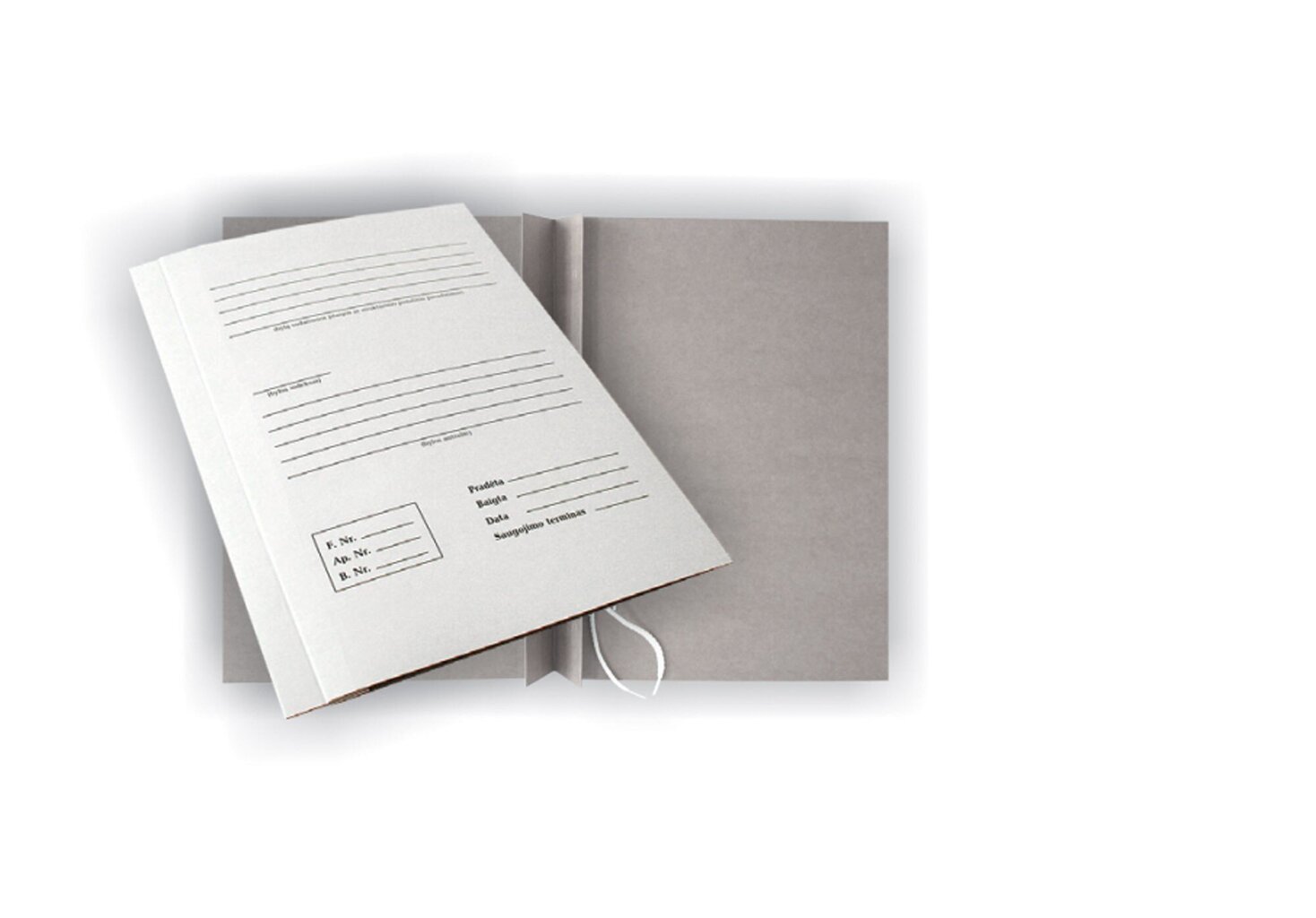 Arhiivimapp SEG-AR, valge, 50 tk hind ja info | Vihikud, märkmikud ja paberikaubad | kaup24.ee