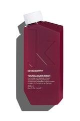 Taastav šampoon Kevin Murphy Young Again Wash 250 ml hind ja info | Šampoonid | kaup24.ee
