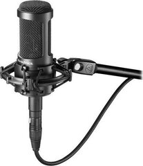 Mikrofon Audio-Technica ATE-AT2050 hind ja info | Mikrofonid | kaup24.ee