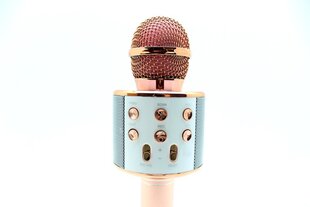 Микрофон караоке WS-858 цена и информация | Микрофоны | kaup24.ee